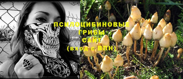 кокс Магас