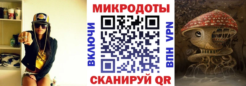 ОМГ ОМГ как войти  Облучье  Псилоцибиновые грибы мицелий 